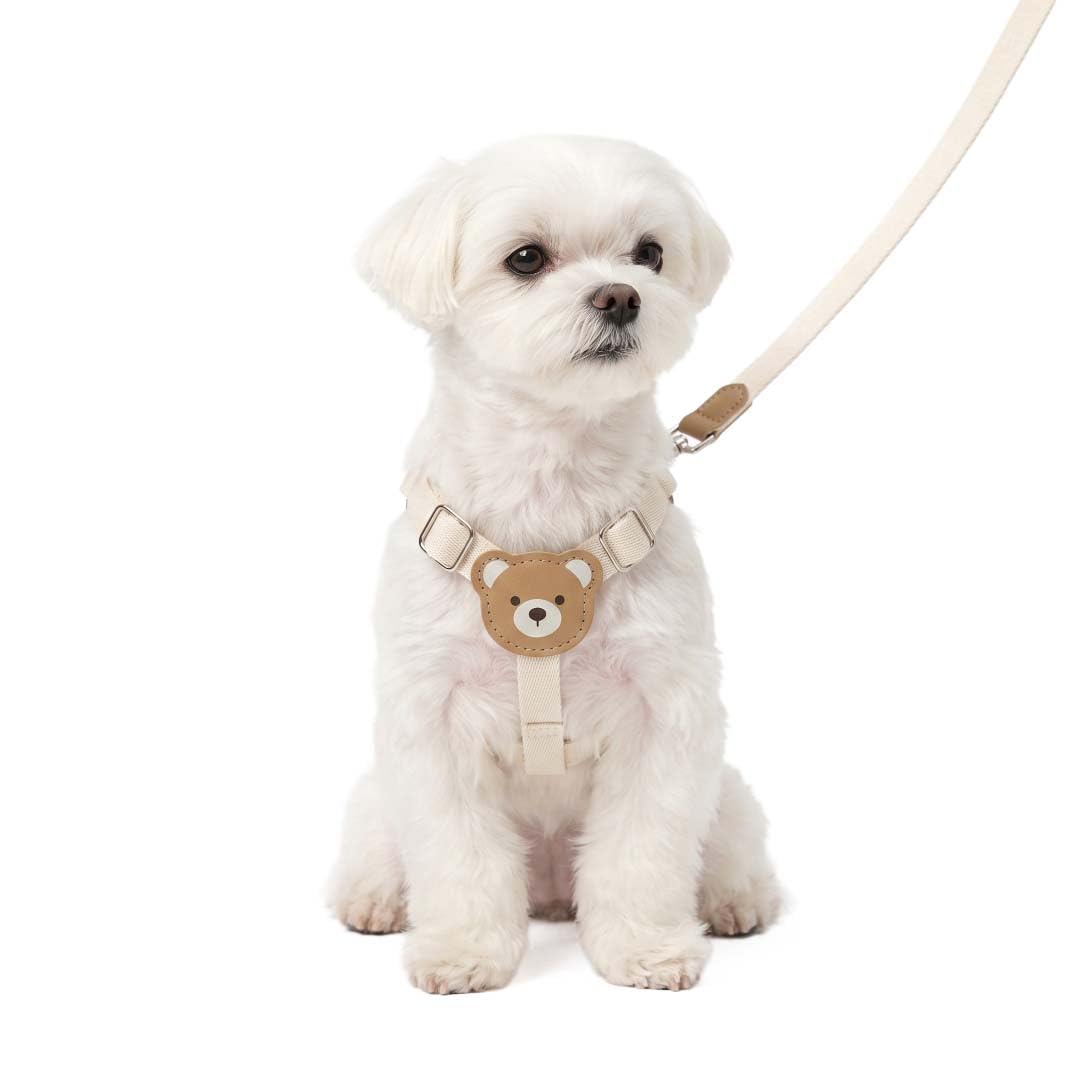 Amazon | PetGround 犬 ハーネス リードセット 小型犬 パピー お散歩
